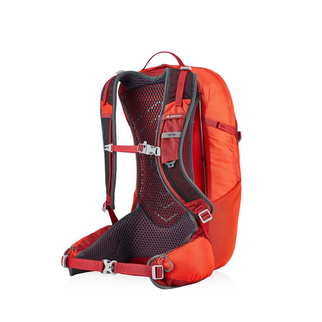 Gregory Citro 24 Hiking Backpack Men Red Ireland 7356ZYPHC